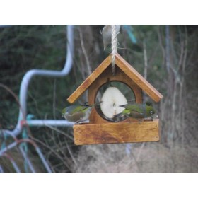 Bird Feeder - Seed Tray Holder